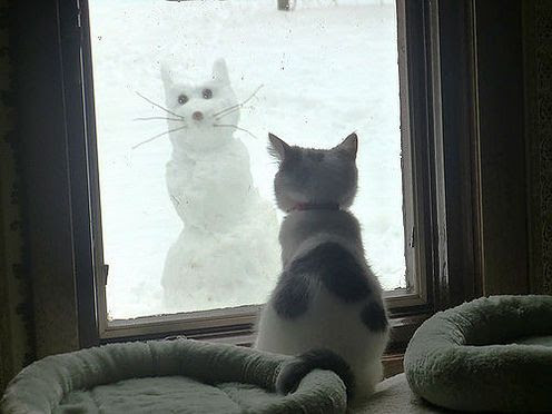 Photo : Snow Cat.