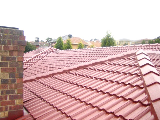 Rhino Roofing Solutions: Rhino Roofing Solutions can ...