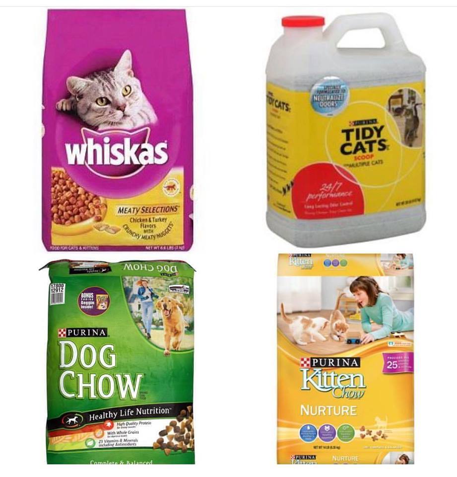 Ladies who do lunch in Kuwait Dog, Cat Food and Litter Donations