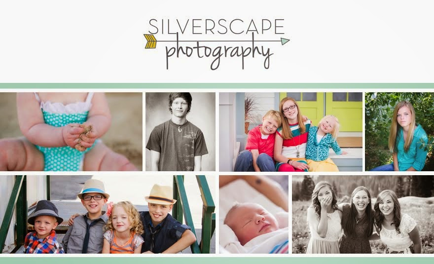 Silverscape Photography Blog
