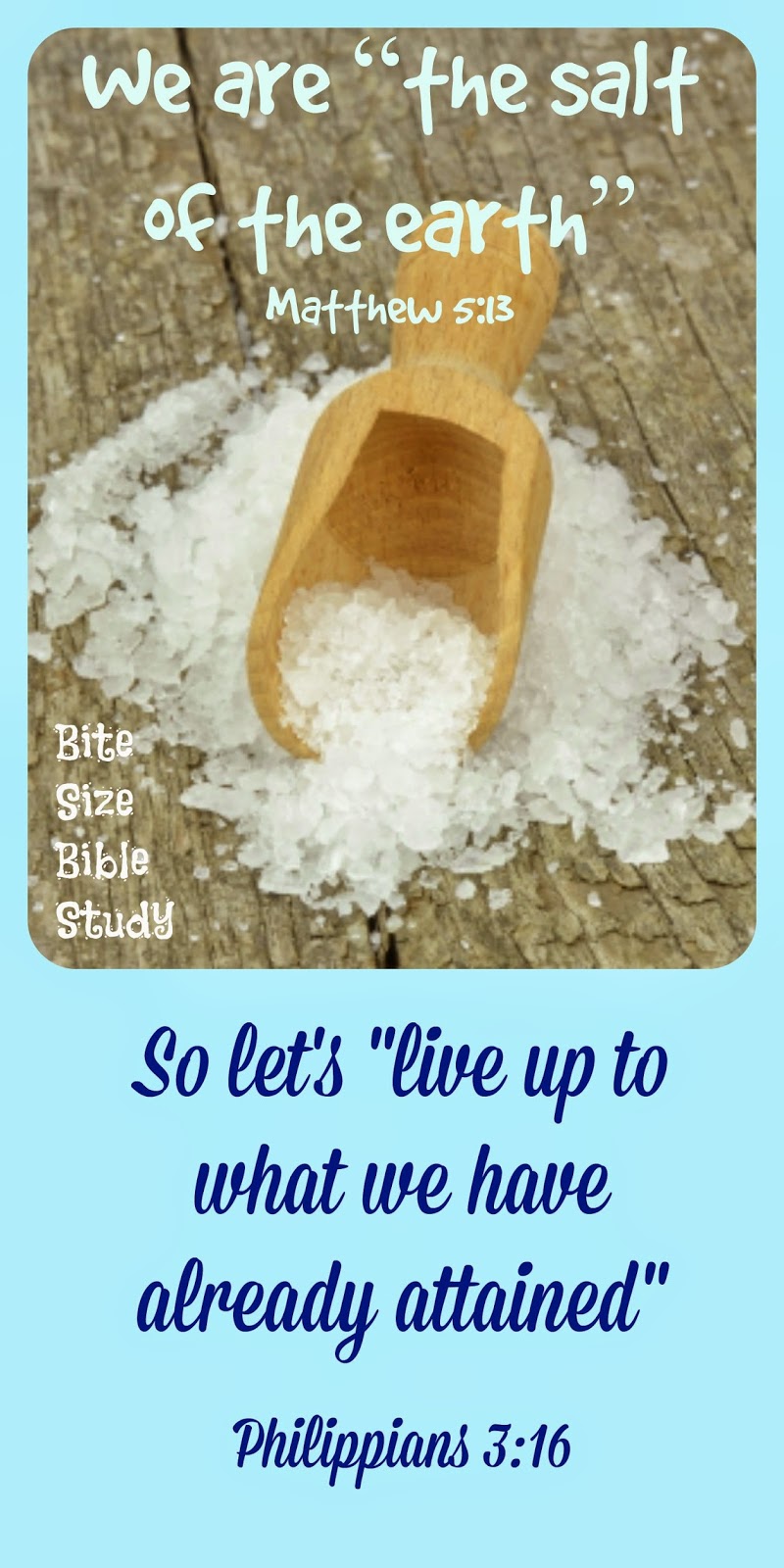 Bite Size Bible Study Worldly Witnesses (Study)