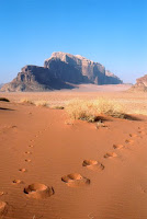 Jordanie-Wadi Rum 2