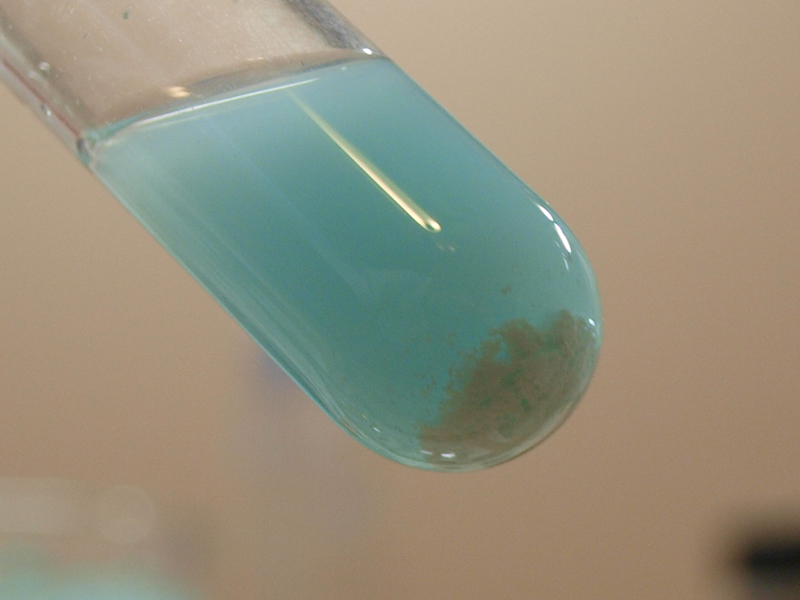 Agcl na2s. Гидроксид меди 2 цвет осадка. Сульфат цинка 2 цвет раствора. Голубой раствор в пробирке. Светло зеленый осадок.