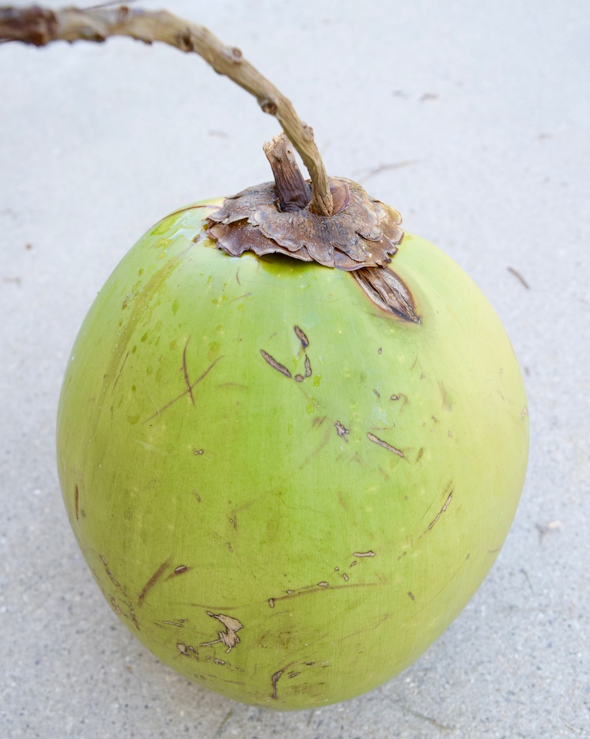 MARIETTE'S BACK TO BASICS {Fresh Young Coconut as Bonus from Hyatt