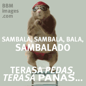 gambar dp bbm meme sambalado gambar dp bbm meme sambalado