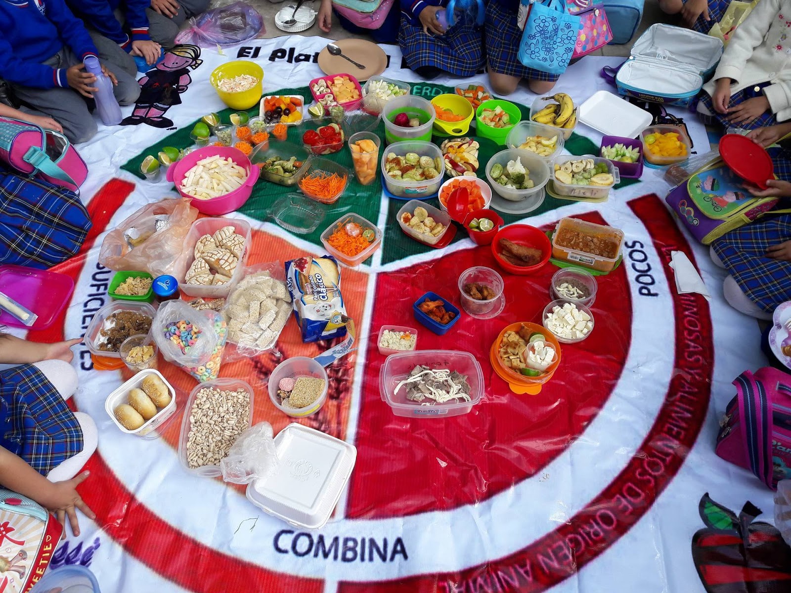 Proyectos educativos ¡Y más! El plato del bien comer Proyectos educativos ¡Y más! El plato del bien comer