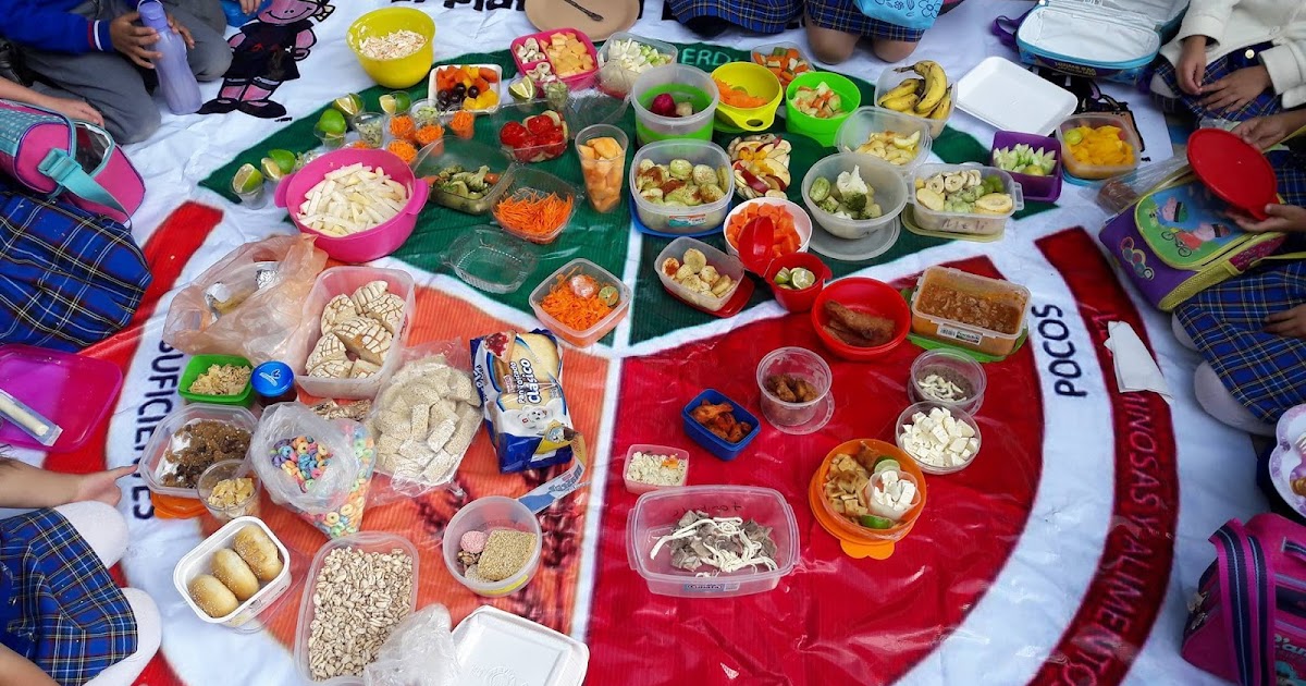 Proyecto Integrador El Plato Del Bien Comer