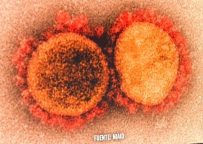 Científicos redoblan investigación sobre variantes del SARS-CoV-2.