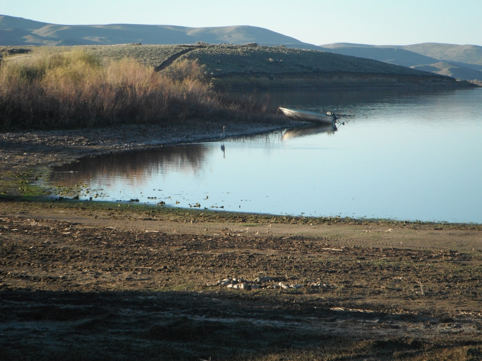 A Garden in the Sun Camping at Wild Horse Reservoir