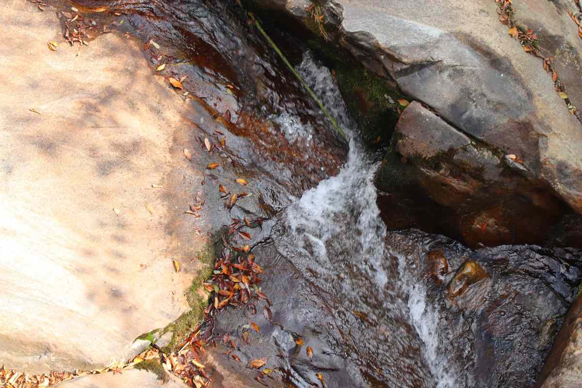 구례 화엄사 구례 화엄사