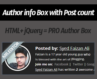 Author info Box For Blogger