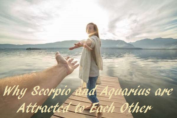 Astrology, Scorpio and Aquarius, Today Horoscopes