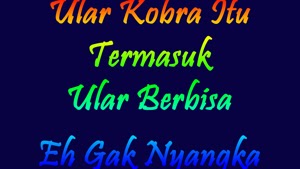 Pantun Lucu Untuk Hari Selasa