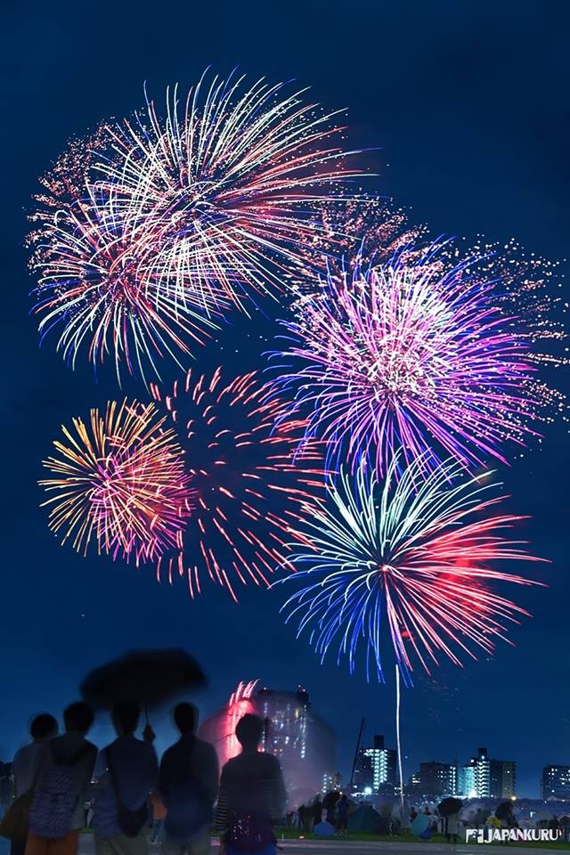 JAPANKURU *UNKNOWN PLEASURES* *･｡,☆ﾟ'Japanese Fireworks and