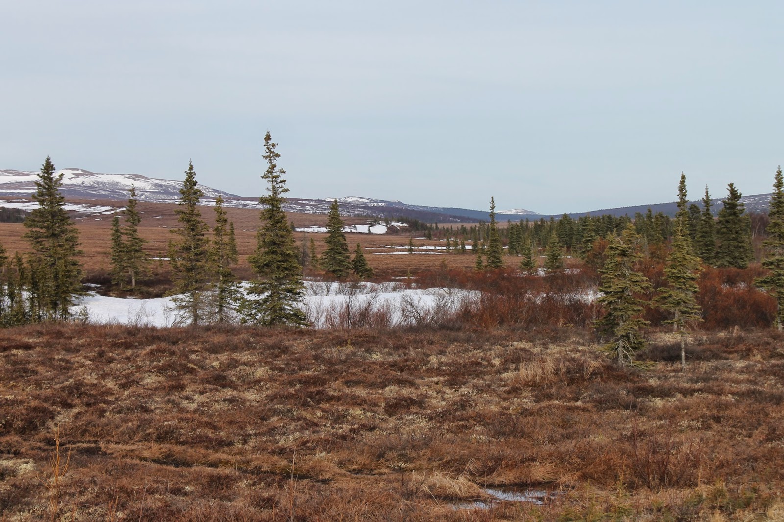 The Cunningham Family The BEST and WORST of life in rural Alaska