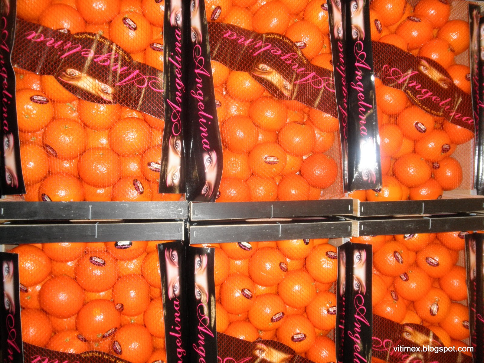 Foto Blog der Firma VitImEx GmbH SP Clementinen/ Sp Clementines