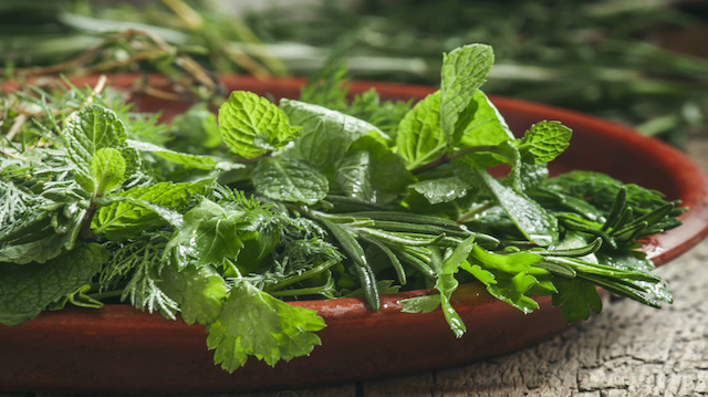 4 Herbs That Are As Good As Over-The-Counter Pain Meds Fotolia