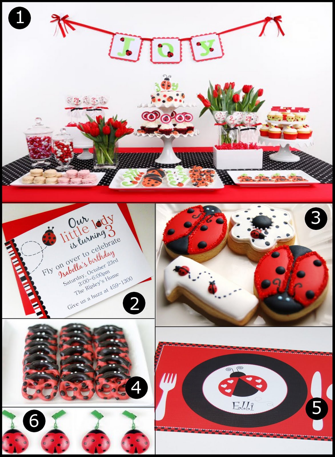 ladybug-party-ideas-delightfully-noted