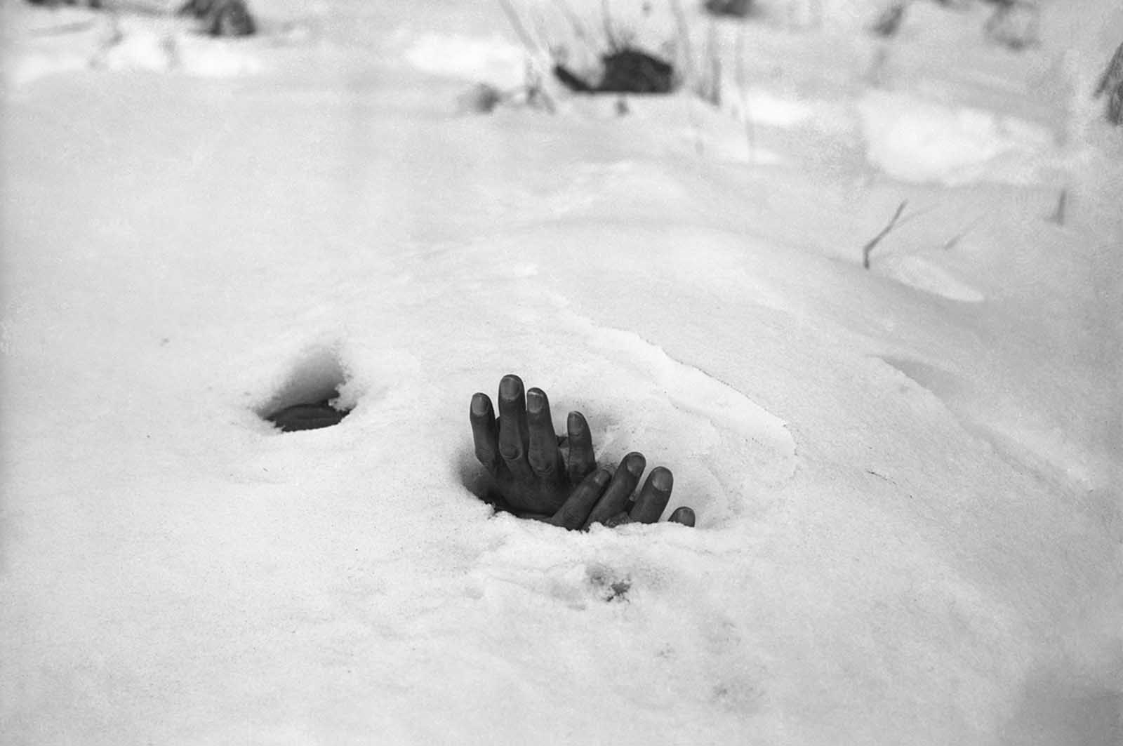 A pair of bound hands and a breathing hole in the snow at Yangji, Korea, January 27, 1951 reveal the presence of the body of a Korean civilian shot and left to die by retreating Communists during the Korean War.