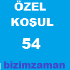 Özel Koşul ve Açıklamalar 54 Anlamı