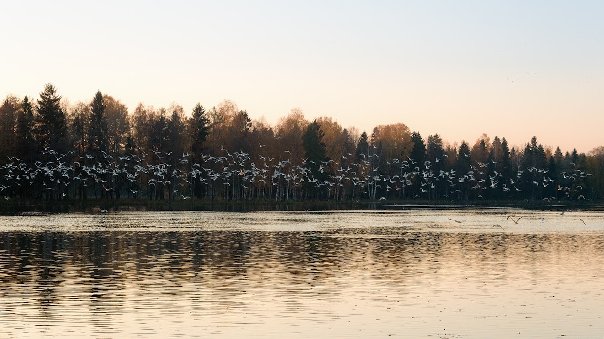 Природа и природный пейзаж в фотографиях