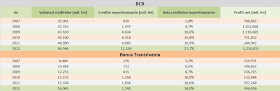 Creditele neperformante la BCR și Banca Transilvania