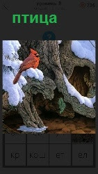изображение птицы на ветке дерева