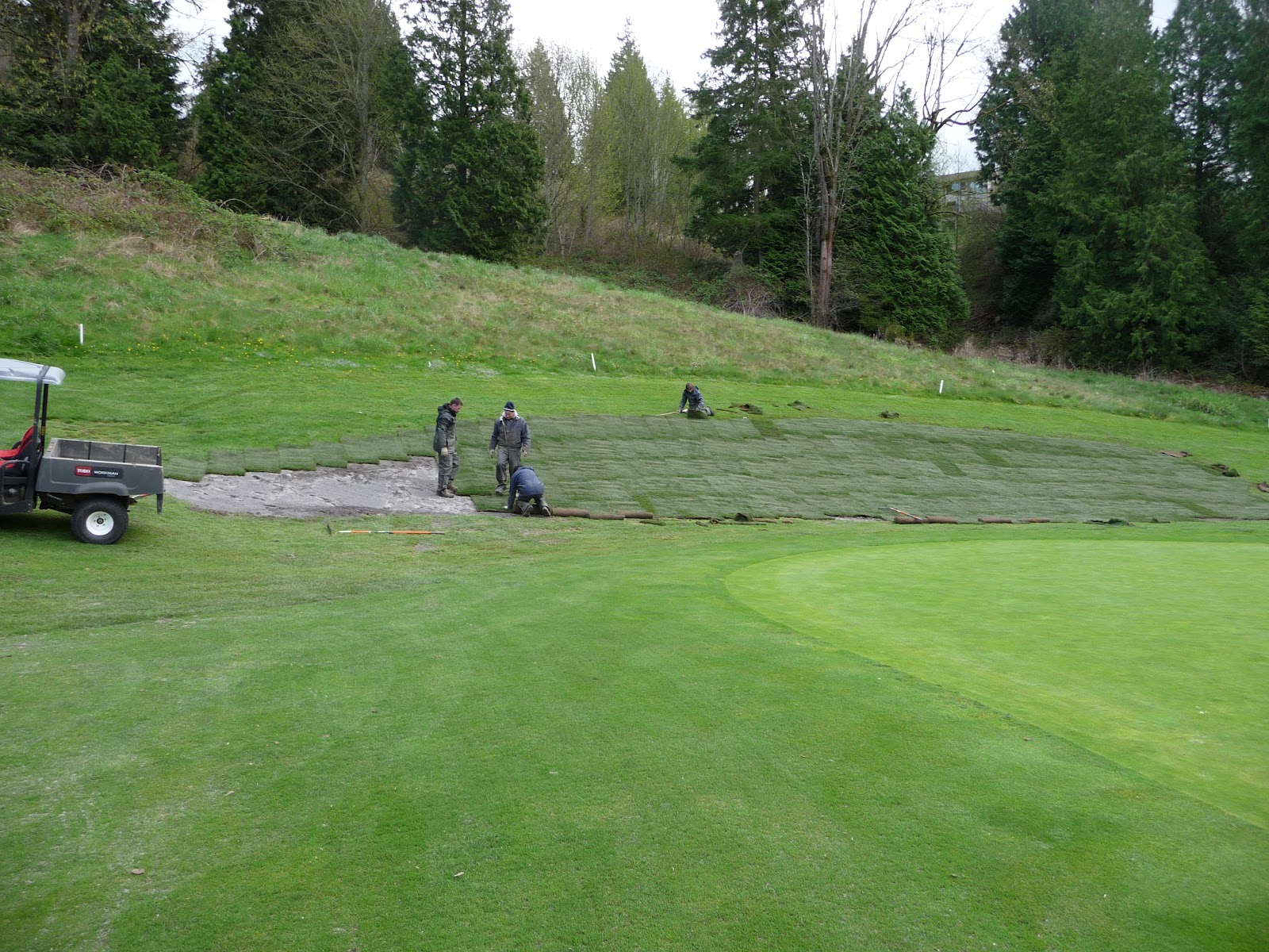 Glendale Country Club Sodding 10 muck hole repair