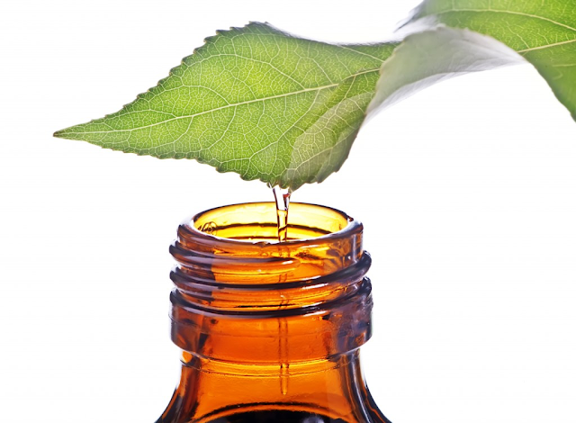 Tea Tree Oil For Rosacea