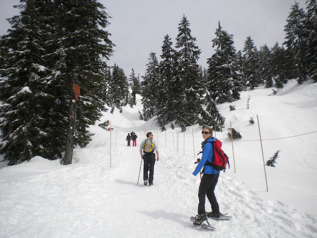 trailhead at mt. seymour