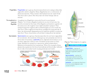 Life-Schooling: A blog about Homeschooling and Self-Directed Learning