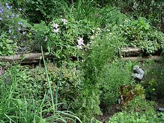 VEGETABLE GARDEN