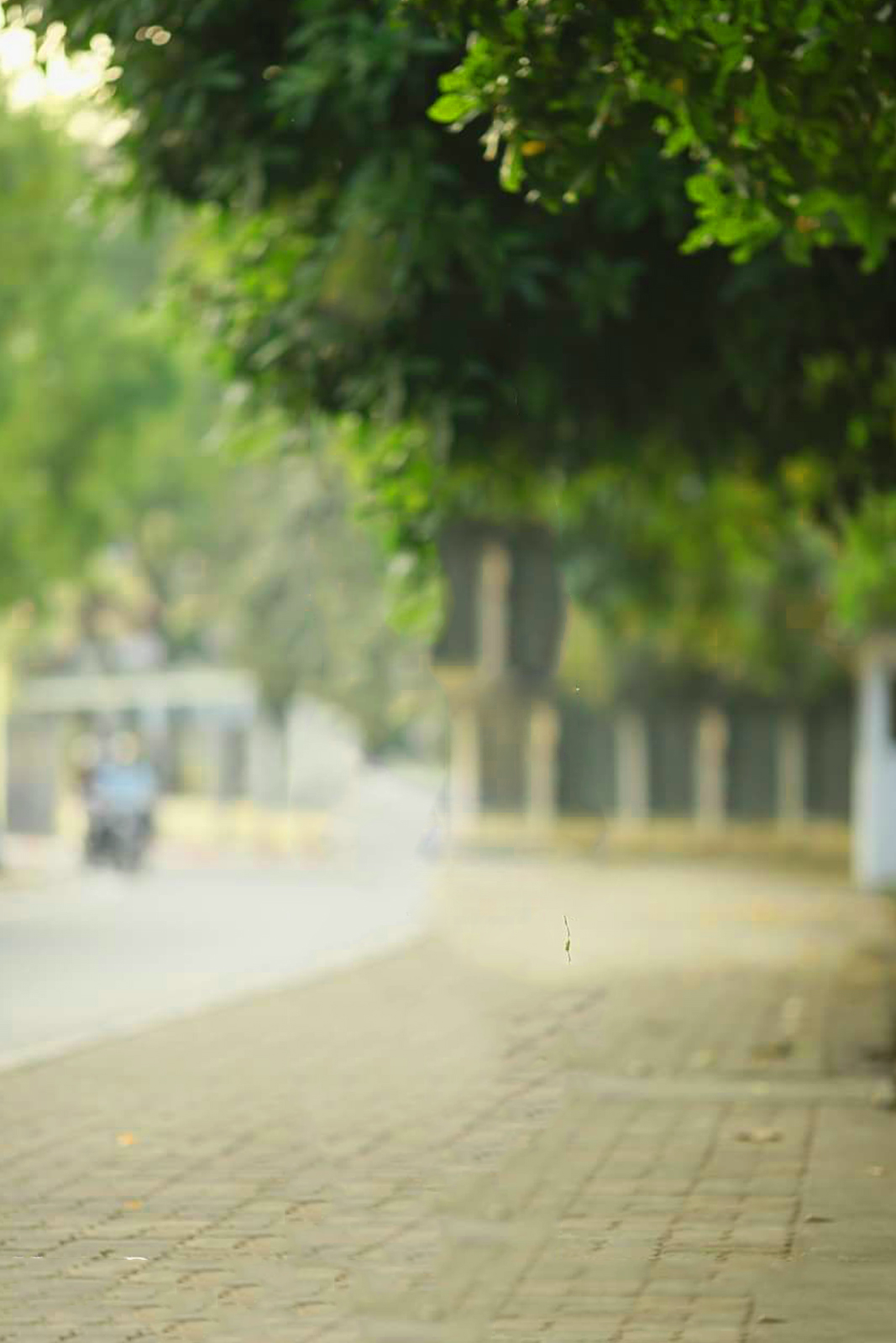 HD BLUR BACKGROUND FOR PHOTO EDITING I PICSART &