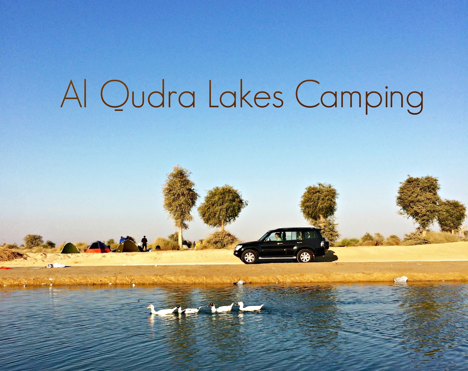 My Yellow Bells 10 Camping Essentials L Al Qudra Lakes Dubai Overnight Camping