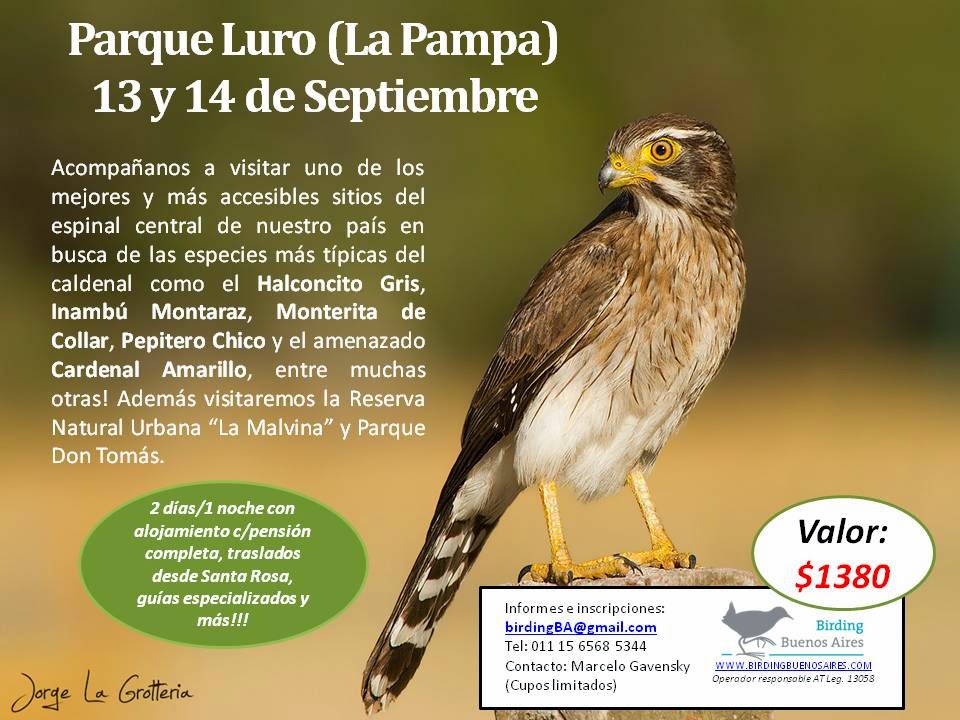 Parque Luro - 13 y 14 de septiembre con Birding Buenos Aires