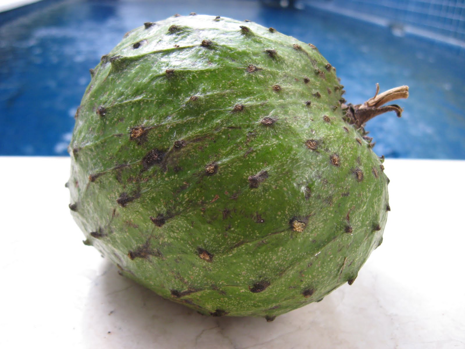 Morsels and Musings soursop candy flavoured fruit