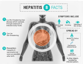 Hepatitis B facts