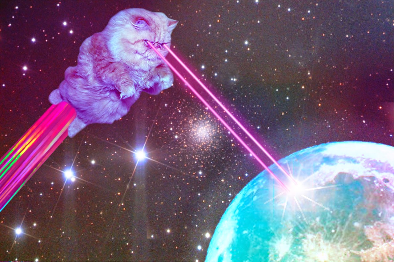 Thank you Based Space Cat