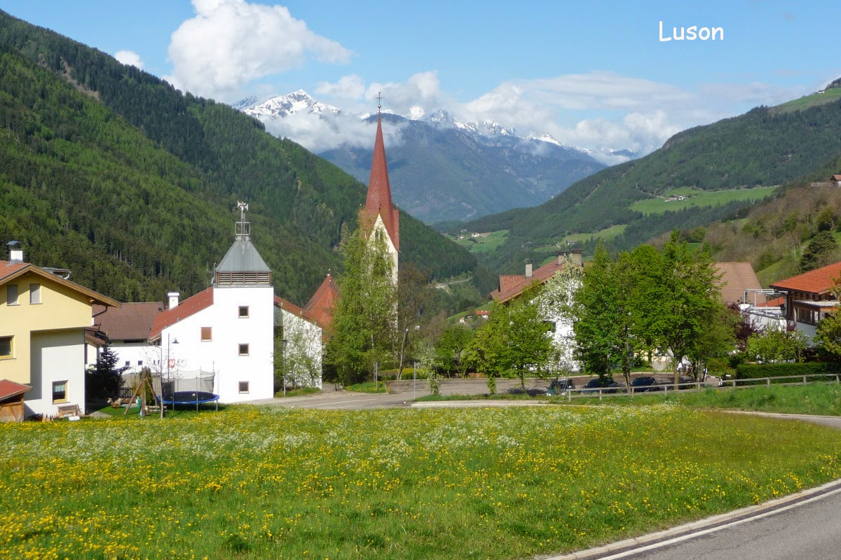 Fernando Gardini Luson Tulper