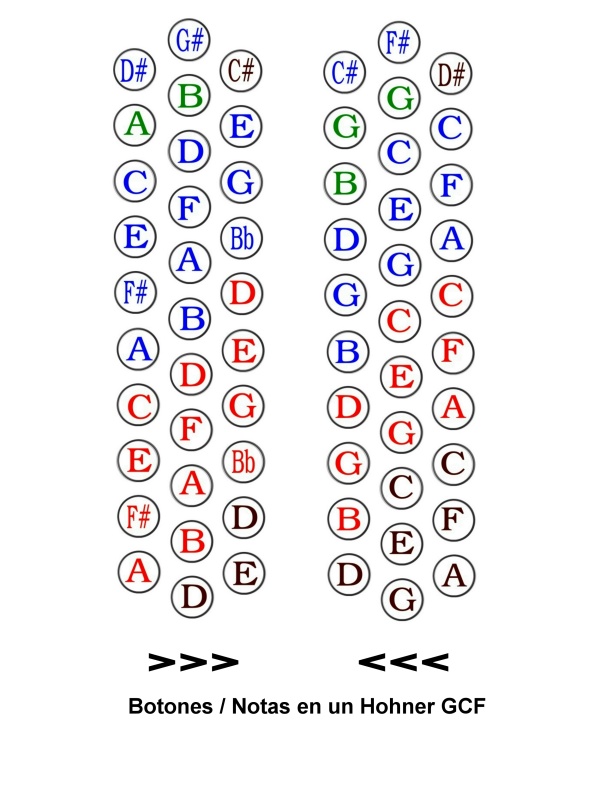 Aprender a tocar el acordeon fácil Escala de botones