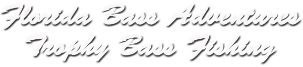 THE ORLANDO BASS GUIDE