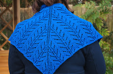 Moth Shawl