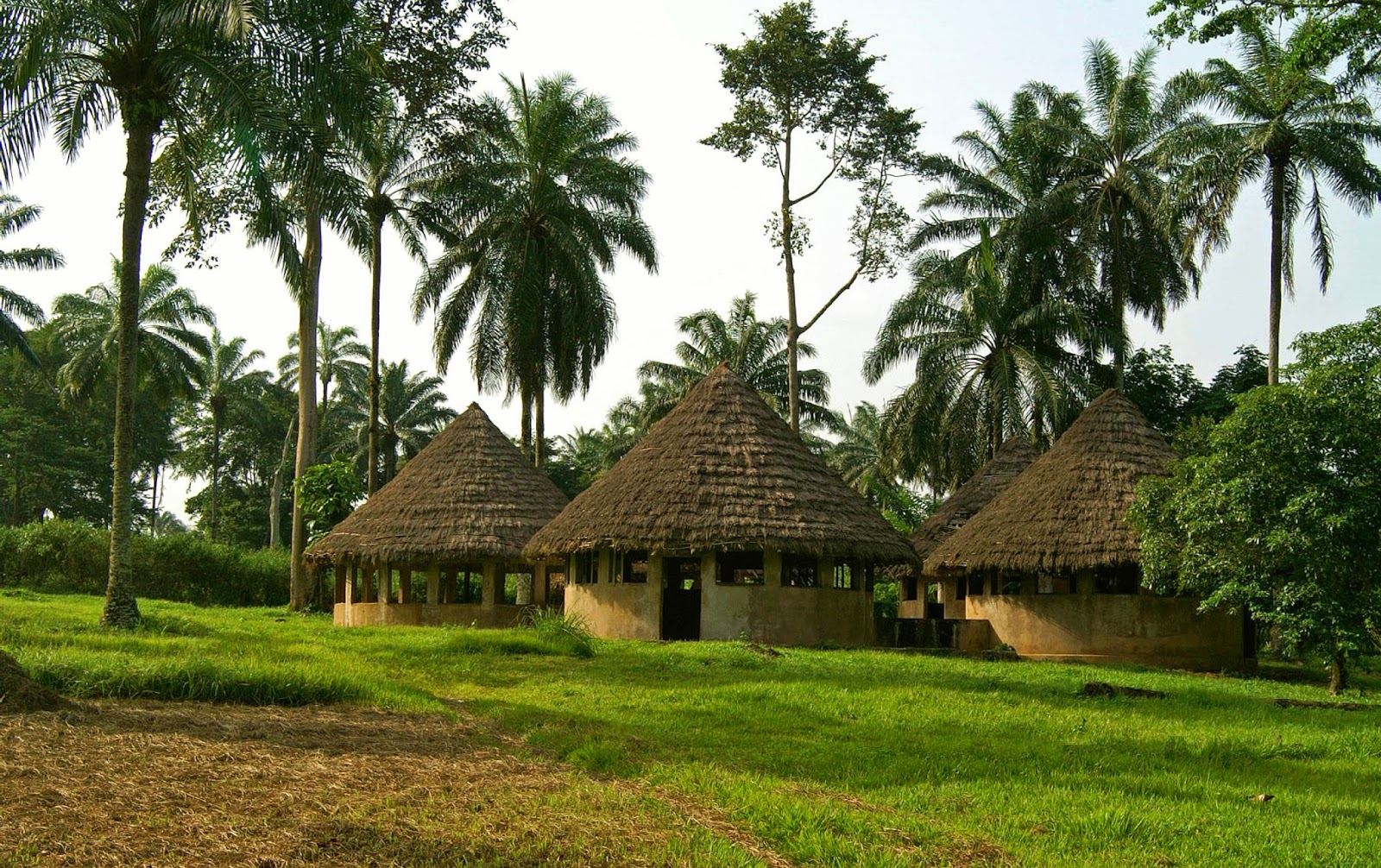 Travel & Adventures Congo ( DRC, formerly Zaïre ). A voyage to