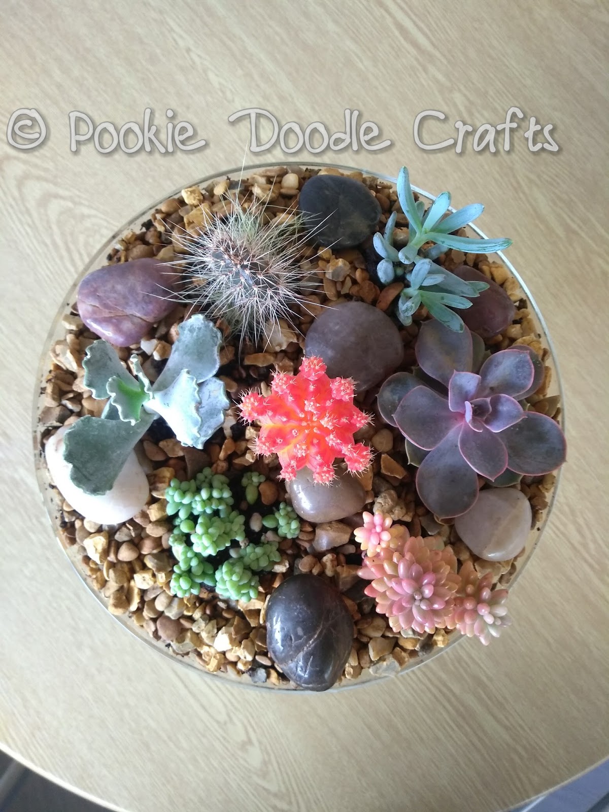 Pin On Inspiration Succulents Air Plants