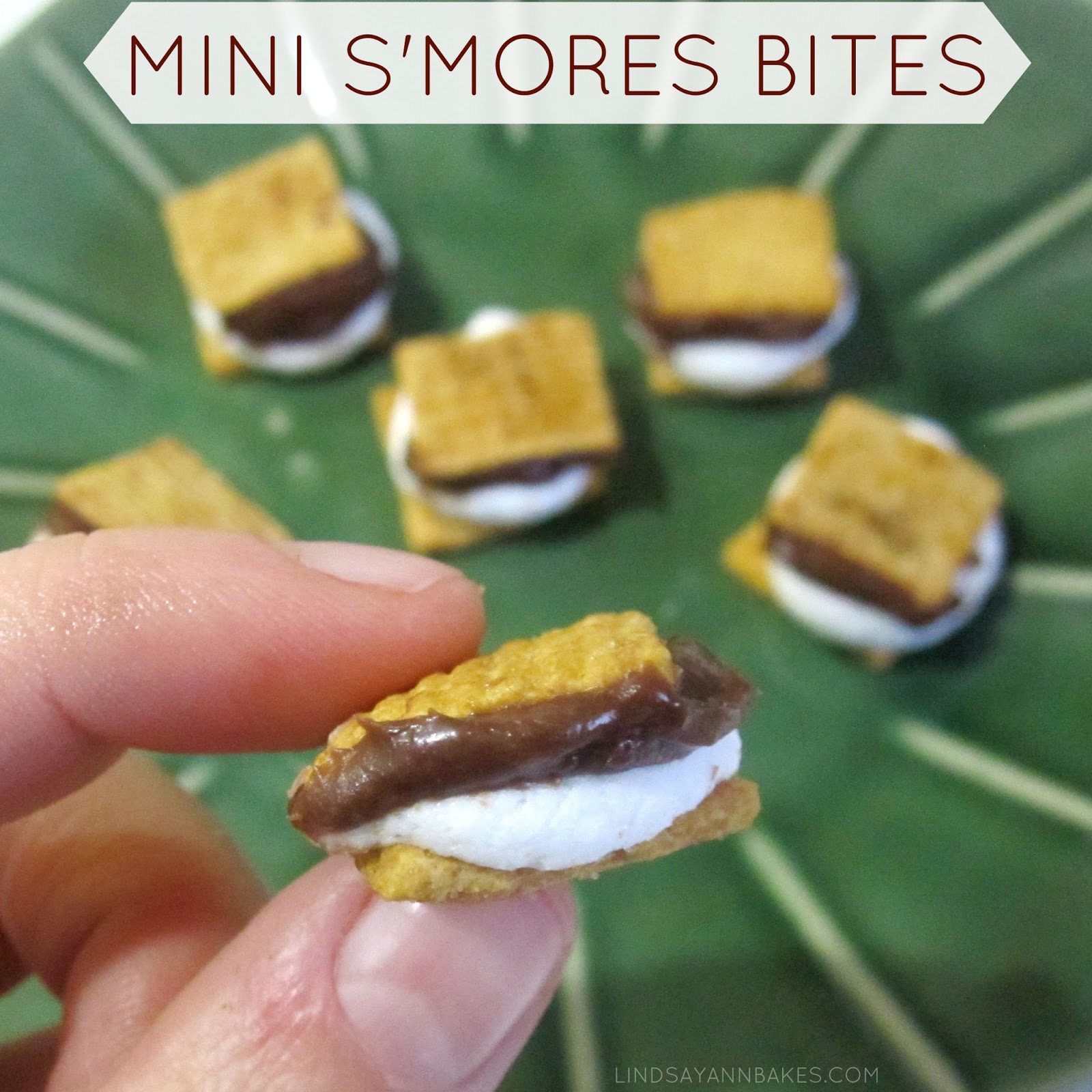 Mini S'mores Bites (makes a perfect cupcake topper or sweet trail mix