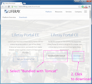 Install Liferay 7 with PostgreSQL 9.5 on windows 7 tutorial 4