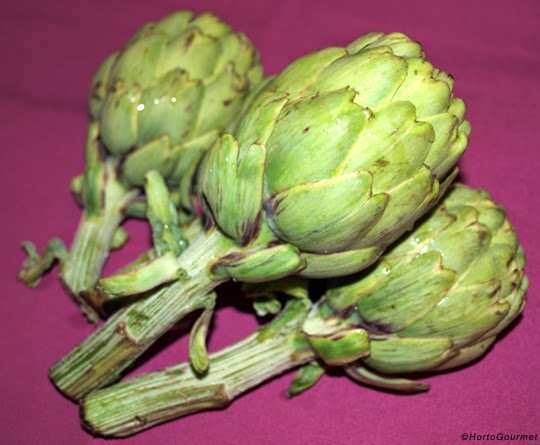 Alcahofas HortoGourmet