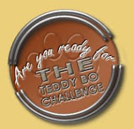 Teddy Bo Challenges