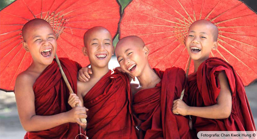 14 bromas budistas que te hacen olvidar tomarte la vida muy en serio  