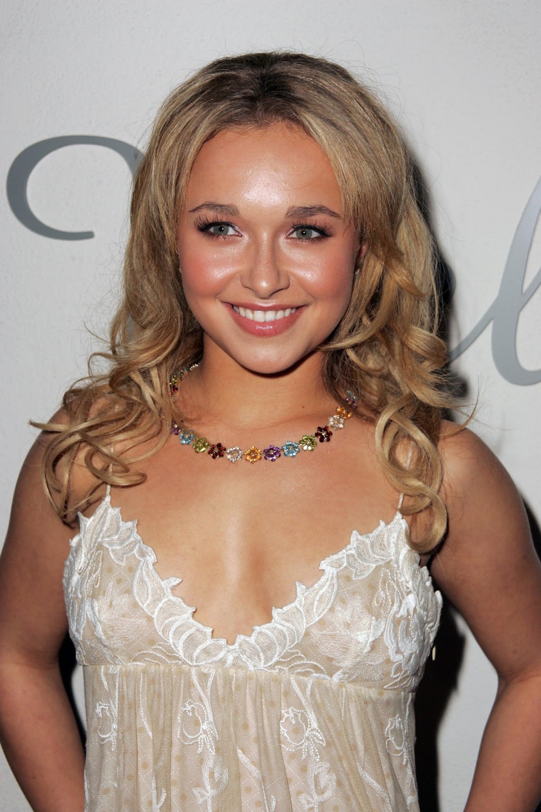 Actress Hot Photo Collection: Hayden Panettiere Hot
